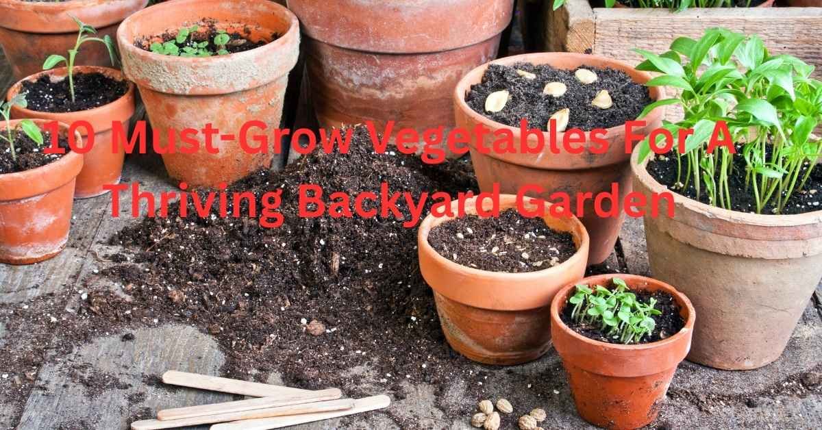 10 Must-Grow Vegetables For A Thriving Backyard Garden