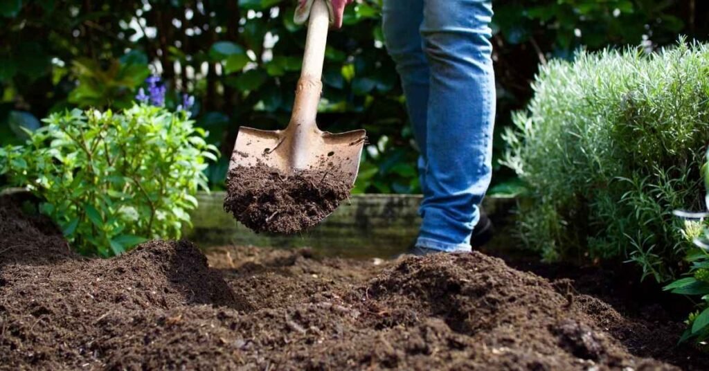 Backyard Garden Soil Health