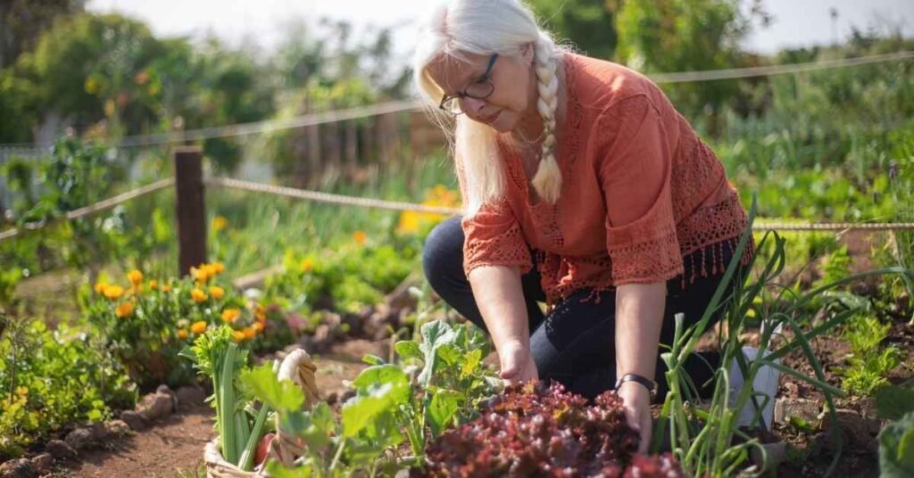 Backyard Garden Sustainability