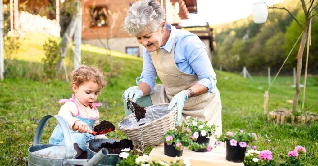 Backyard Garden For Beginners