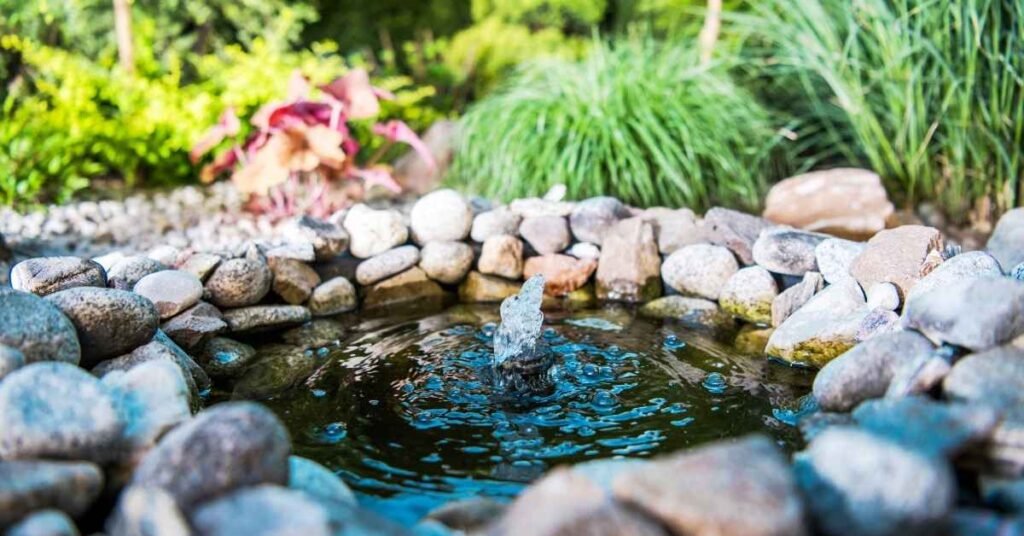 Water Conservation Tips For Backyard Gardeners