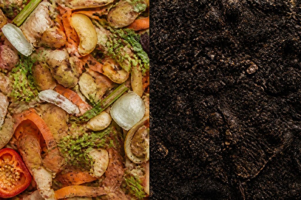 raw kitchen scraps versus finished dark compost