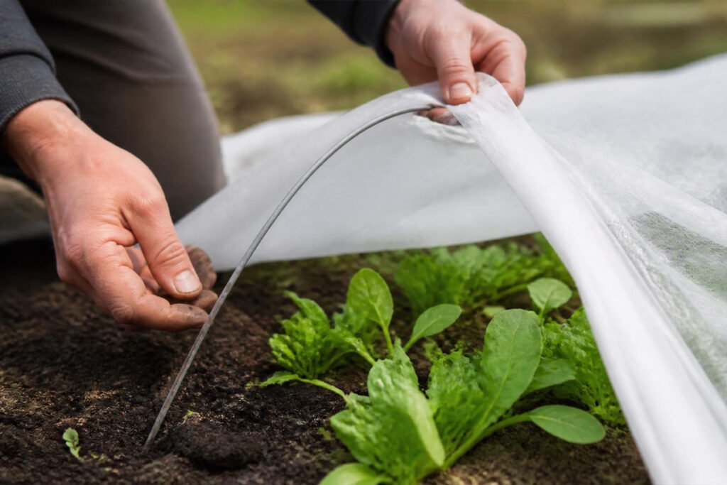 hand installing row cover hoops over a garden row