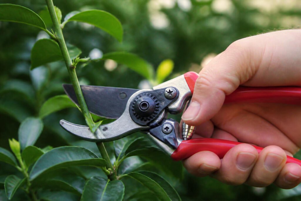 Best Garden Hand Tools for Every Gardener Proven Top Picks Buying Guide 3