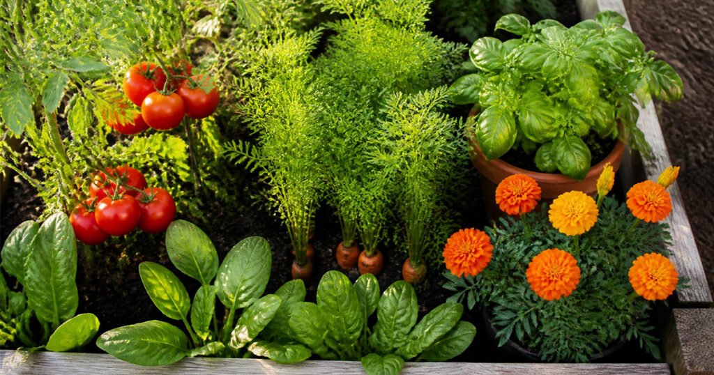 Companion Planting Guide 2026 Best Plant Pairings for a Thriving Garden