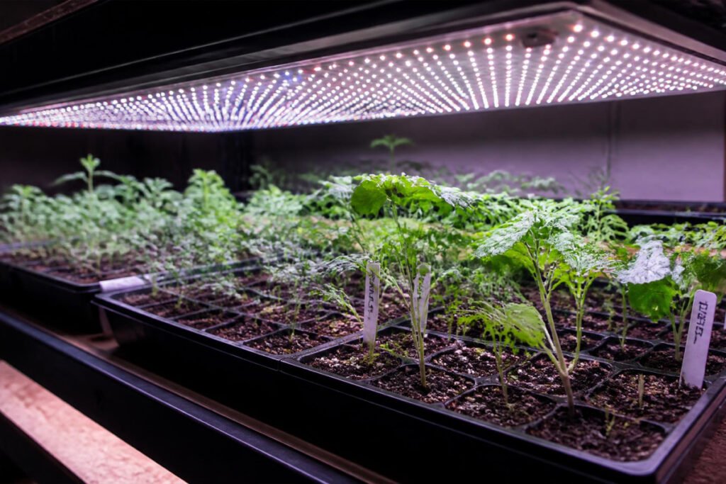 5 Best Grow Lights for Seed Starting Proven Top Picks Buying Guide 4