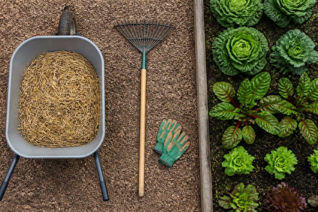 5 Best Mulches for Vegetable Gardens Proven Top Picks Buying Guide 3