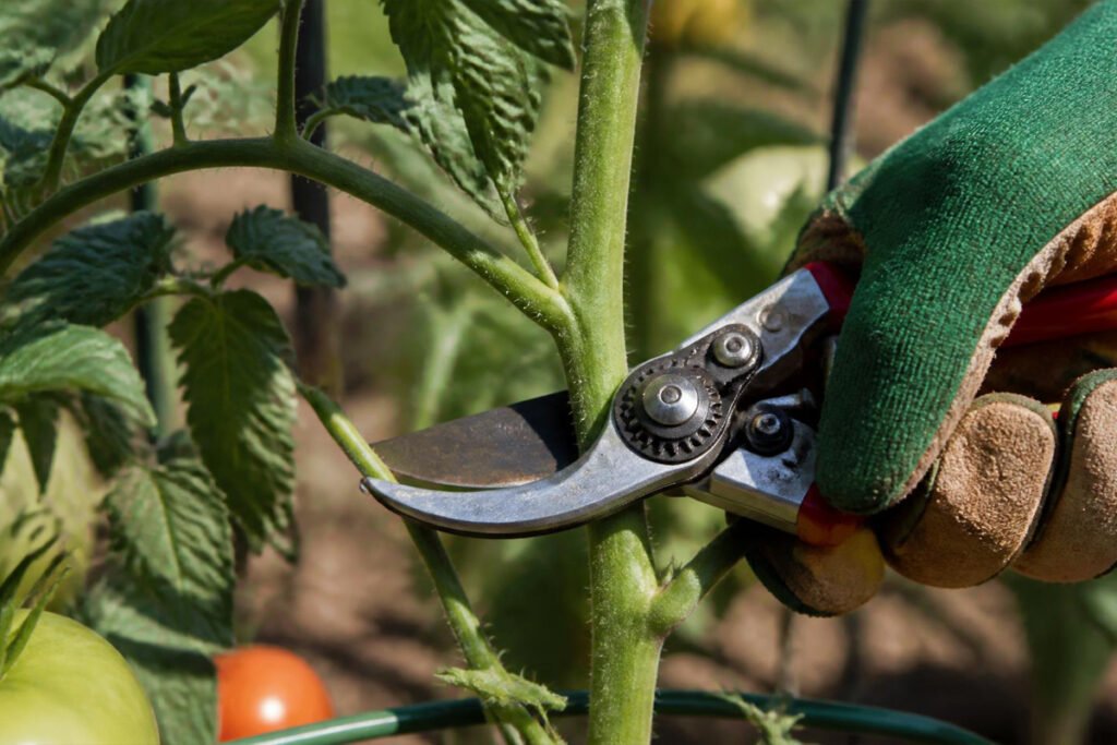 5 Best Pruning Shears for Every Gardener Proven Top Picks Buying Guide 1