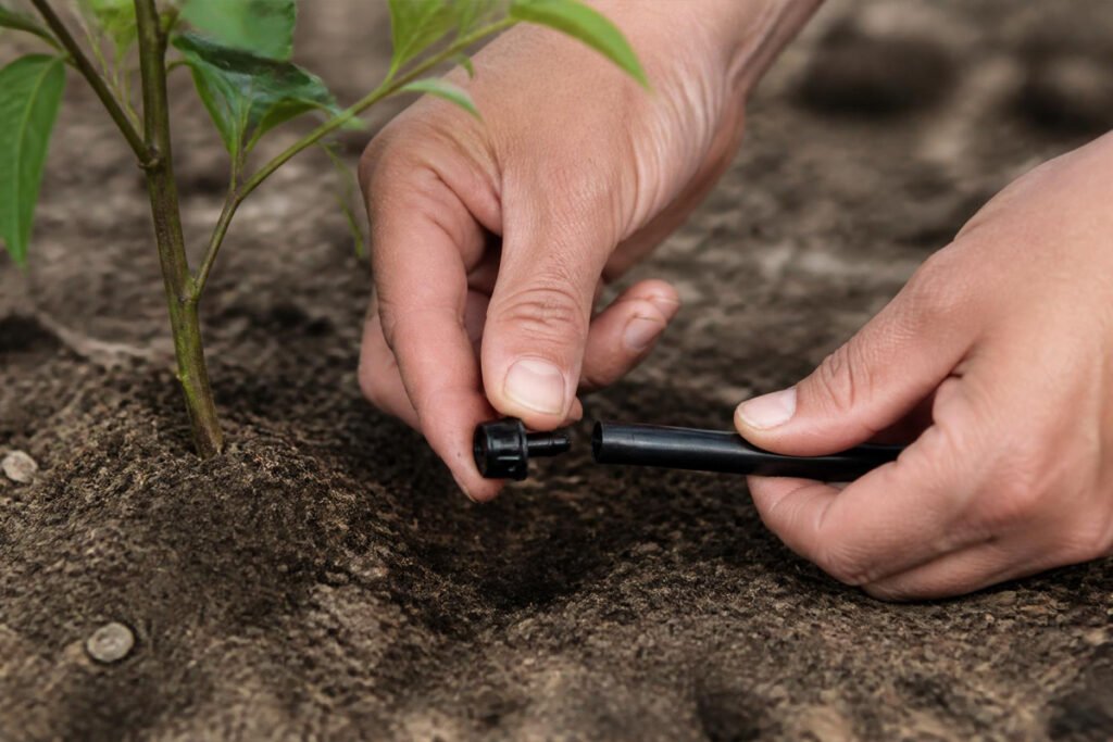 hand installing drip irrigation tubing along a garden row