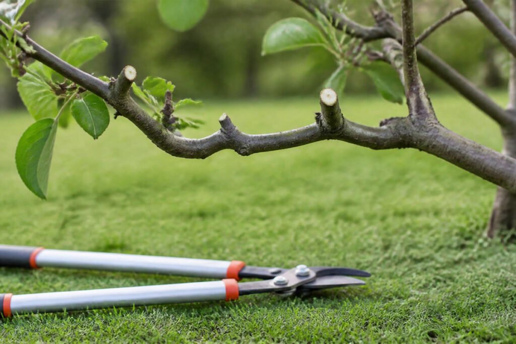 6 Best Loppers for Thick Branches Proven Top Picks Buying Guide