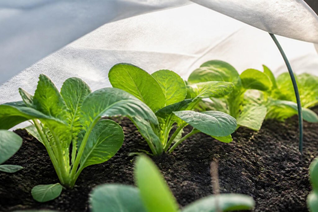 6 Best Row Covers for Frost Pest Protection Proven Top Picks Buying Guide