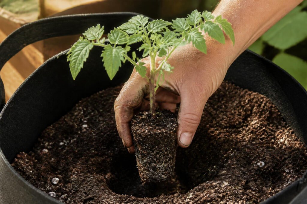 7 Best Grow Bags for Vegetable Gardening Proven Top Picks Buying Guide 1