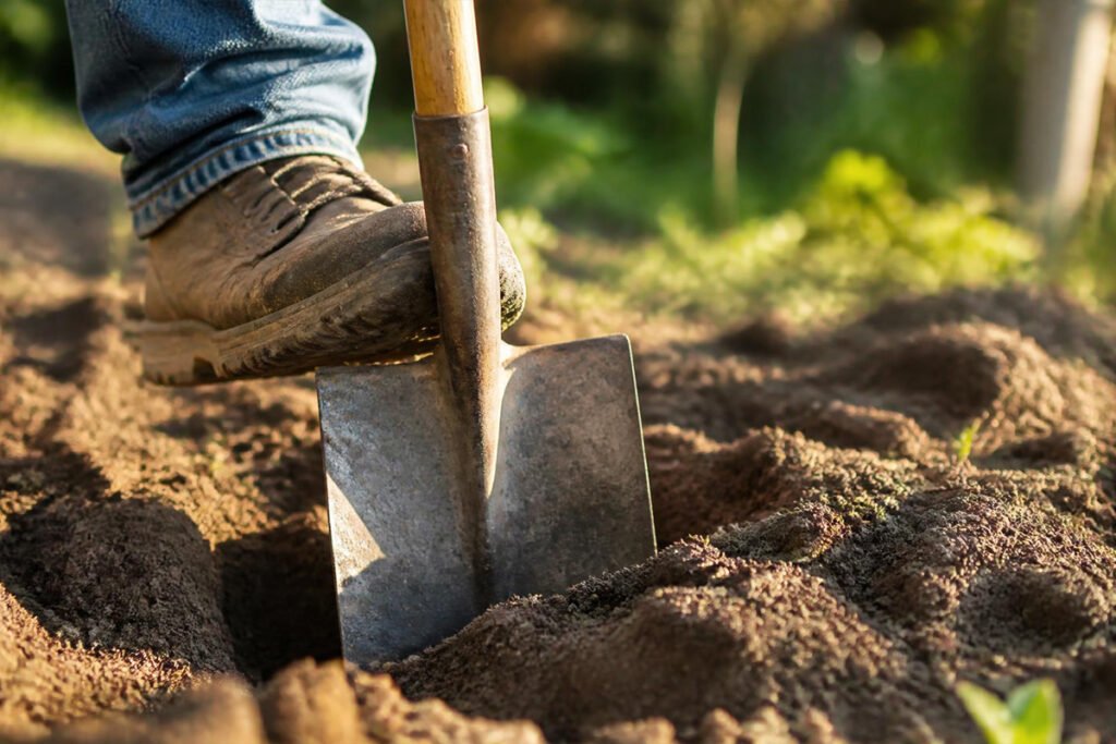6 Best Garden Spades & Shovels for Digging, Edging & Roots: Proven Top Picks & Buying Guide